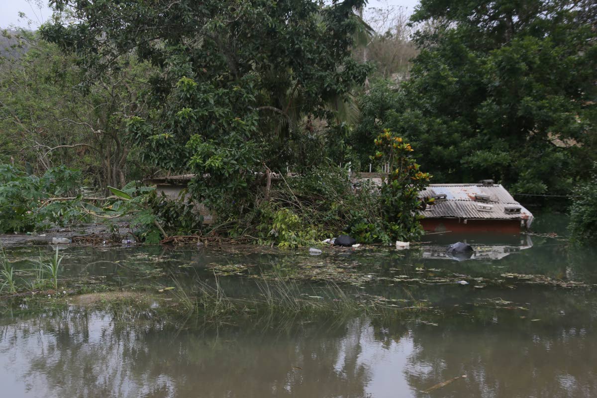 Rising waters in Content, Manchester, have covered several houses.