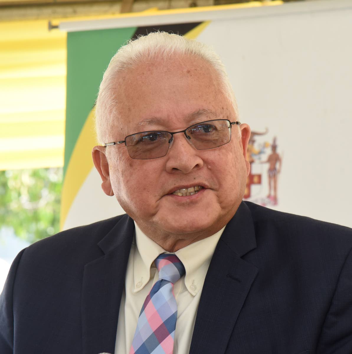 Delroy Chuck, chairman of the joint select committee reviewing the Child Diversion Act, 2018.