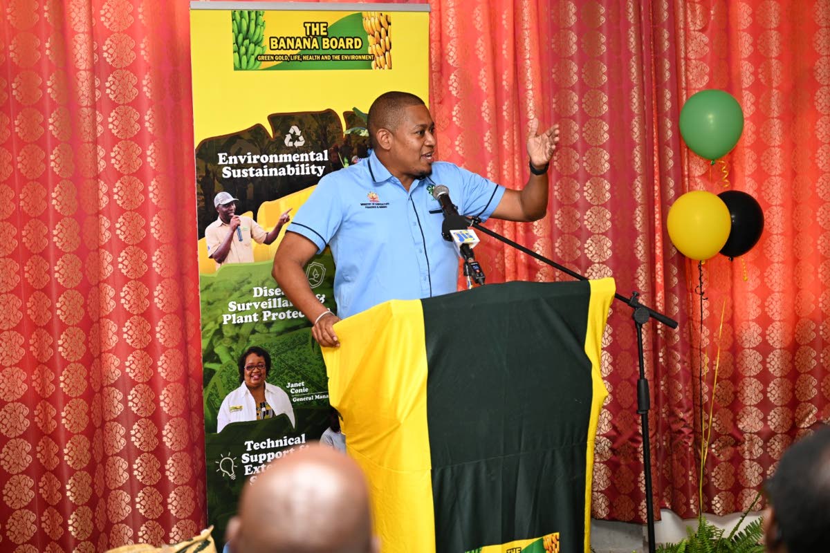 Agriculture Minister Floyd Green addressing St James banana and plantain farmers during a handover ceremony held yesterday for the Banana Board’s Hurricane Melissa Recovery Assistance Programme.