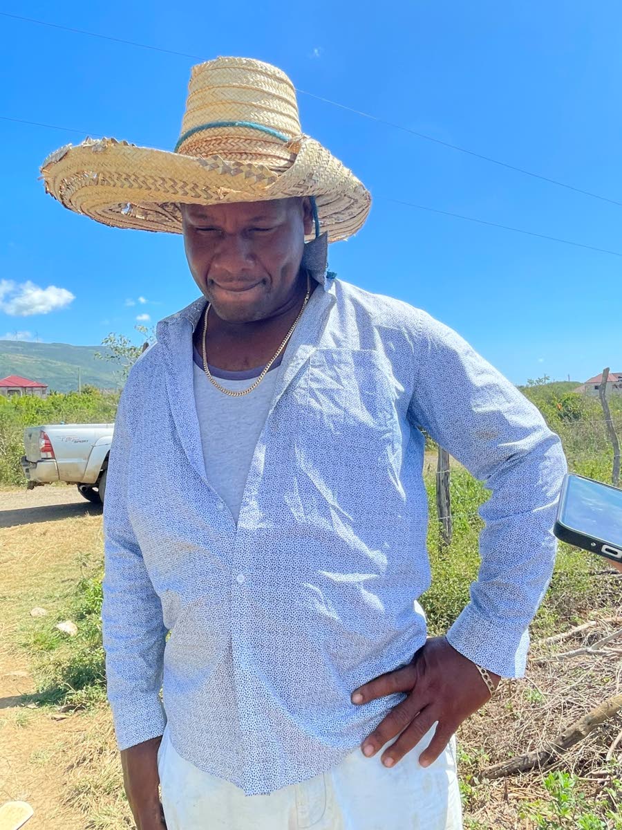 
Andre Dyer, onion farmer in Mountainside, St. Elizabeth.