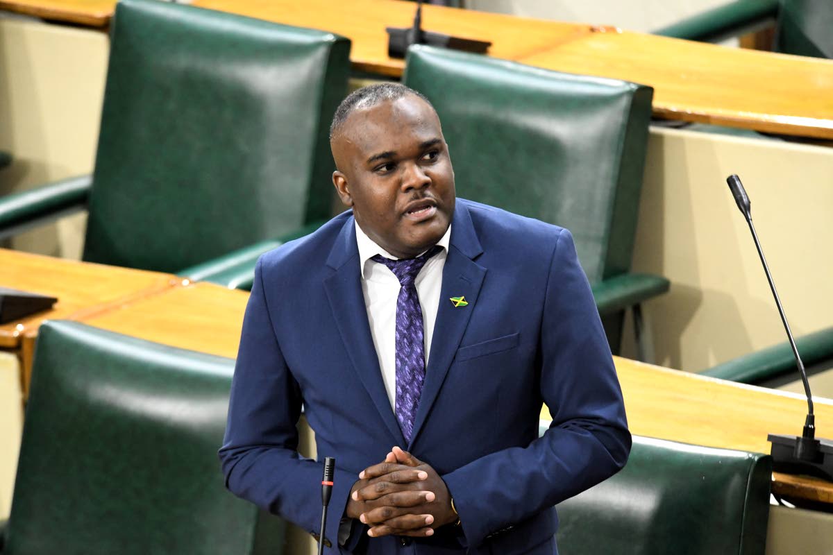 Government Senator Abka Fitz-Henley 