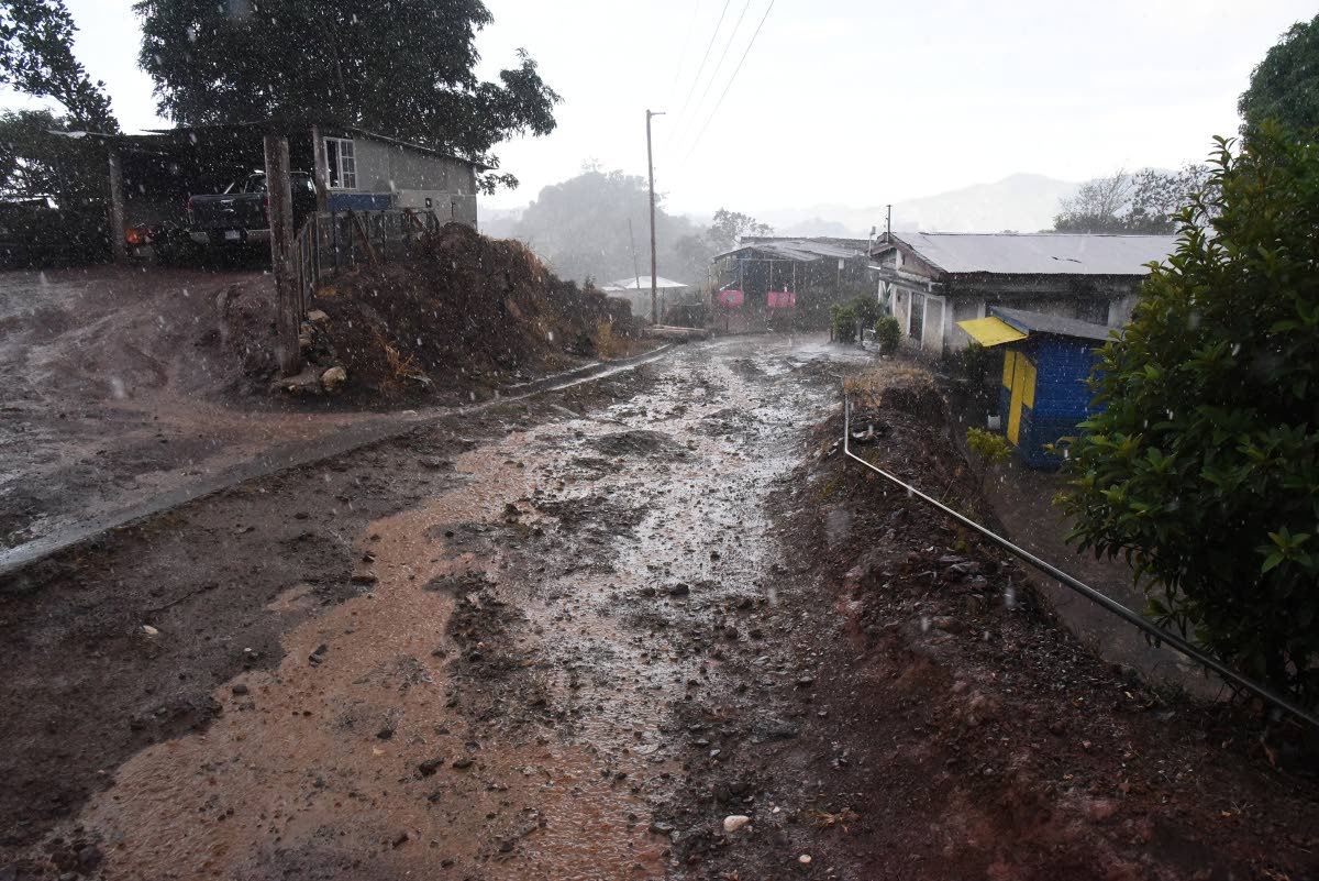 
Rain falls for the first time in months in Claverty Cottage, Portland Western, last Thursday.
