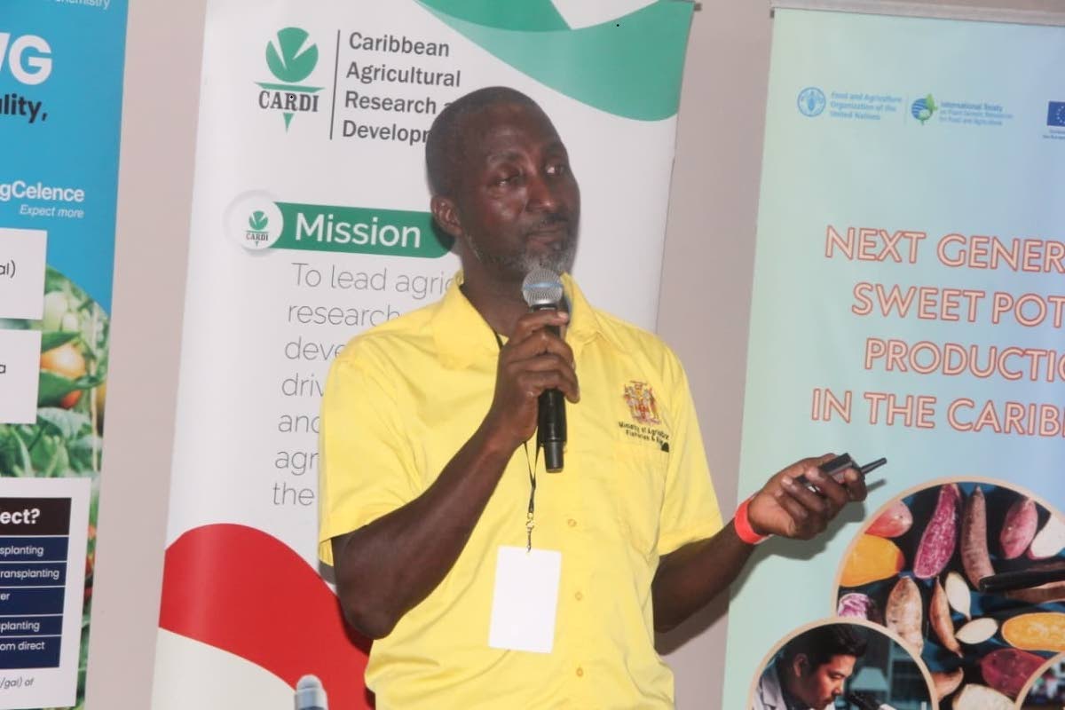 Charles Webster, plant technical officer in the Ministry of Agriculture.