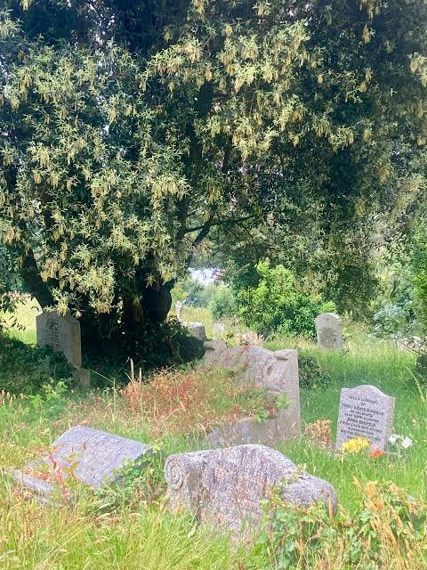 A section of the Falmouth Cemetery in Trelawny.