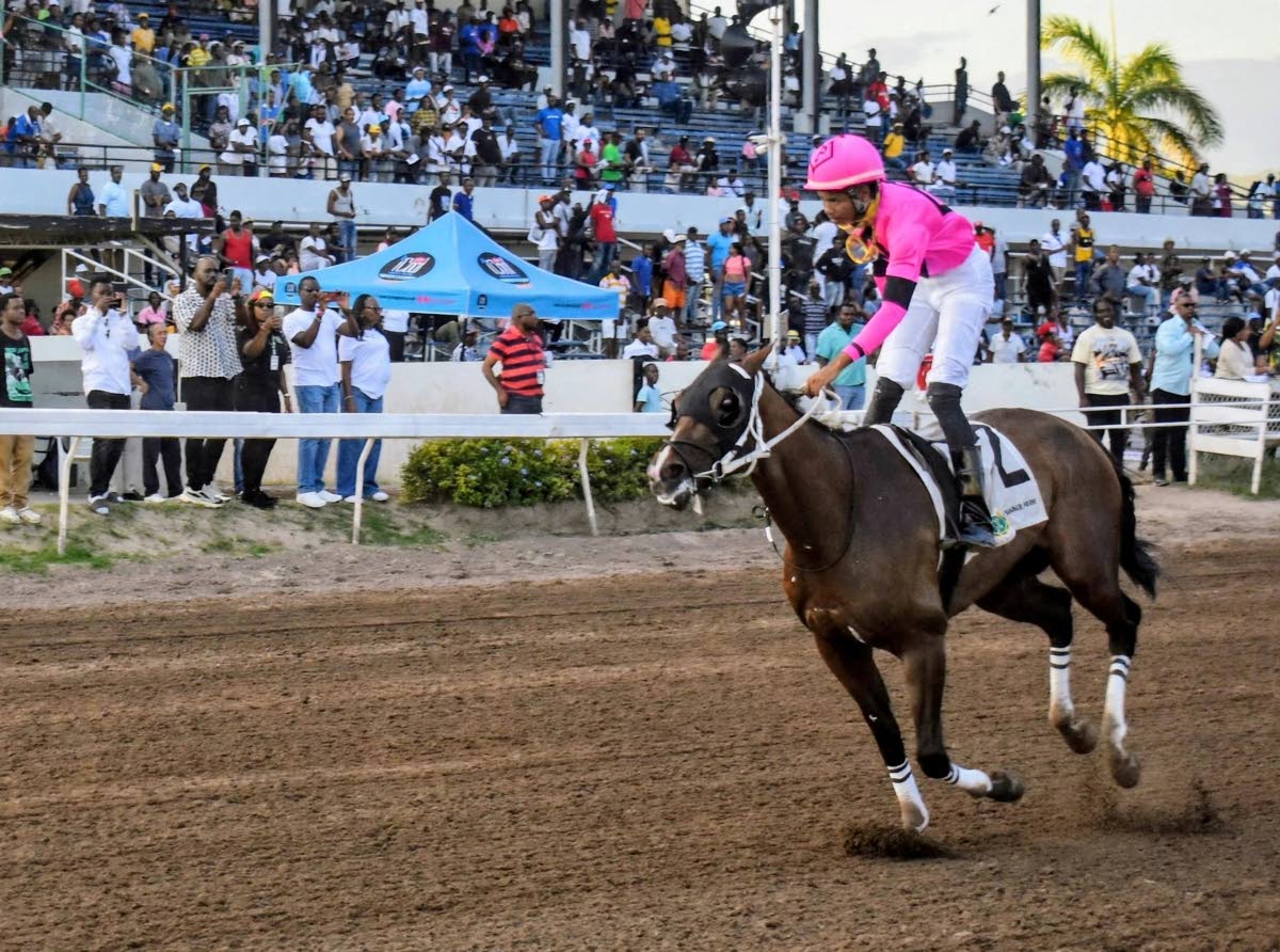 THE PRINCE’S SPUR, ridden by Raddesh Roman, wins the seventh running of The Jamaica Cup over nine and a half furlongs at Caymanas Park on Monday.
