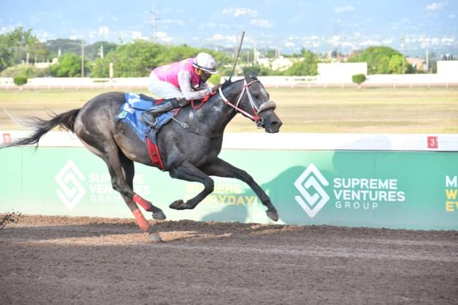 
RIDEALLDAY, ridden by Ian Spence, wins the 54th running of the Phillip Feanny Gold Cup over seven furlongs at Caymanas Park yesterday.